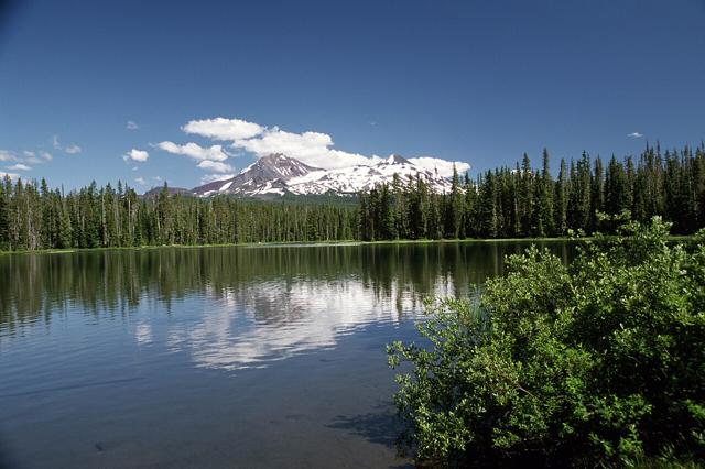 Willamette National Forest